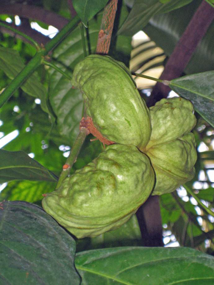 1576659622865419.jpg 2019051616412978.jpg